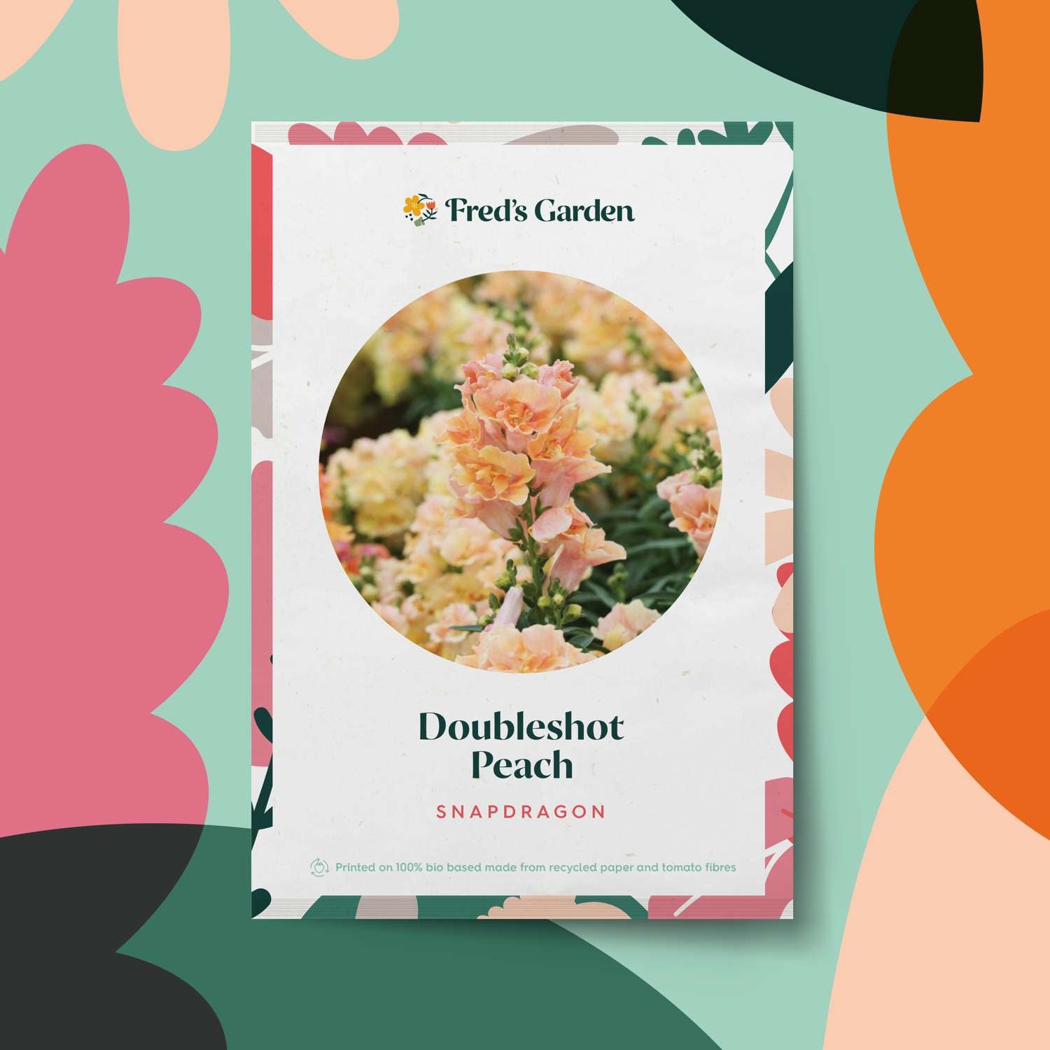 Leeuwenbek 'Doubleshot Peach' (zaden)